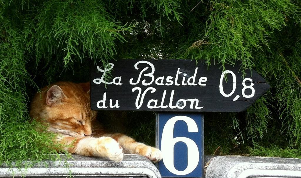 索马讷-德沃克吕兹 La Bastide Du Vallon旅馆 外观 照片