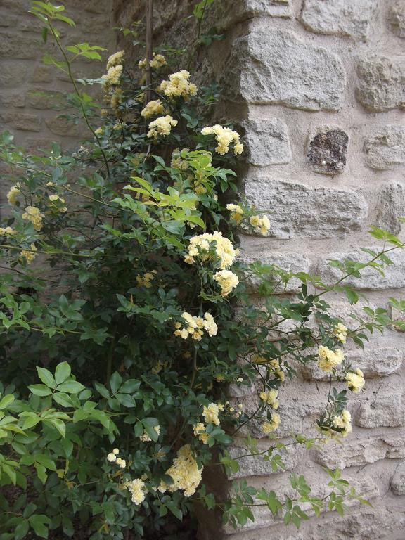索马讷-德沃克吕兹 La Bastide Du Vallon旅馆 外观 照片